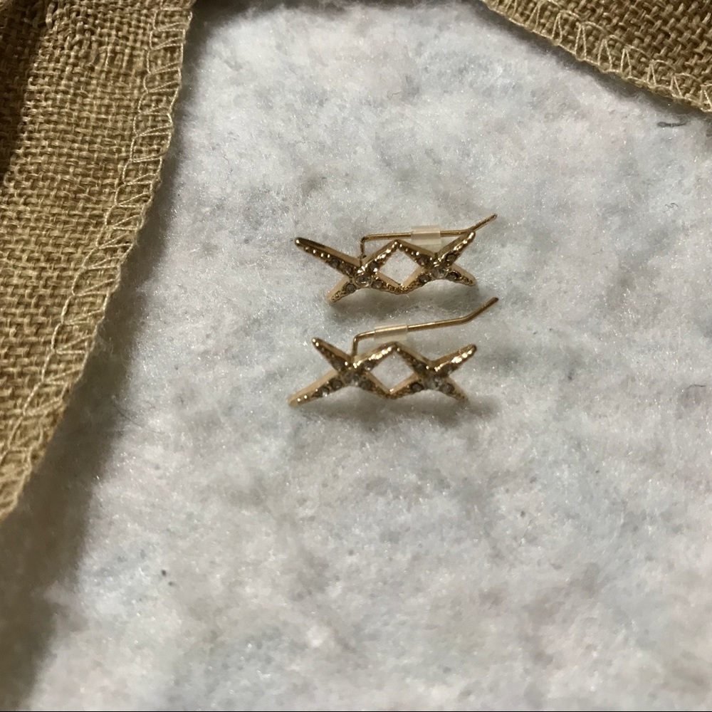 Ear Crawler Earrings (New)